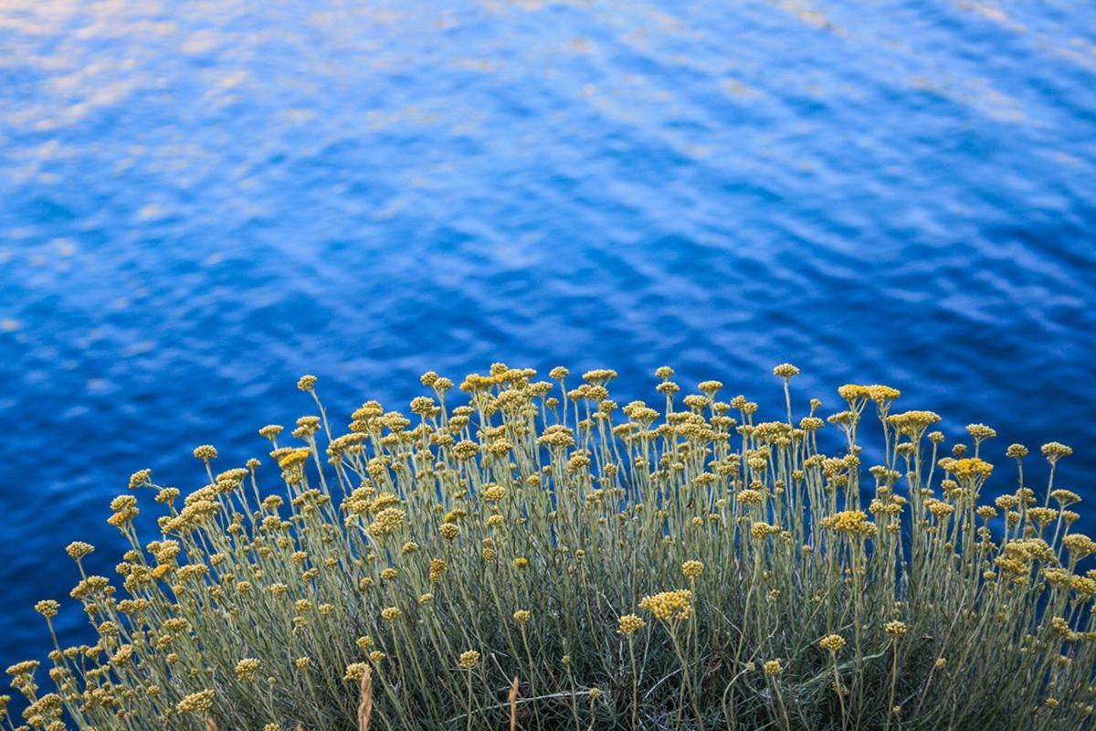 Dandy Apartment Povljana Bagian luar foto